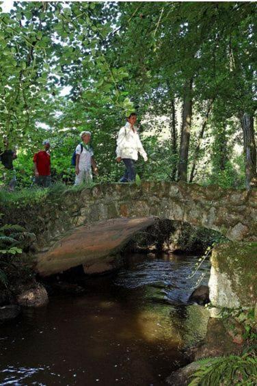 Gite La Loussaudrie Pontmain Kültér fotó
